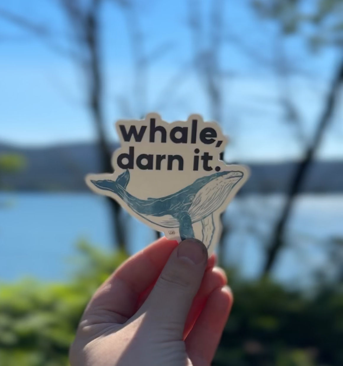 Whale, darn it.