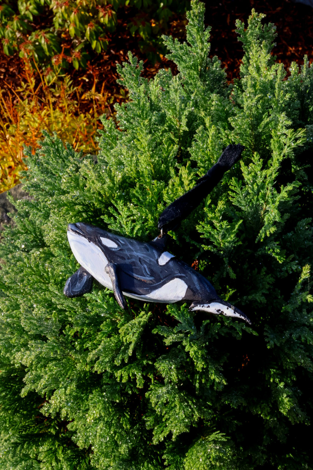 Orca Whale Ornament