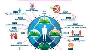 What Are The Principal Factors Affecting A Full Realization of Anti-Fatigue Programs?