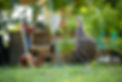 Luce_05.jpg