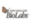 New England Biolabs