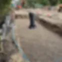 ree