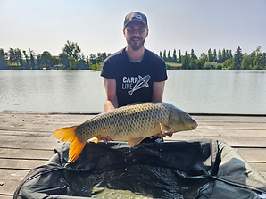 LES ETANGS DES CARREAUX - pêche carpodrome - pêche ïle de France - camping Rozay en Brie -
