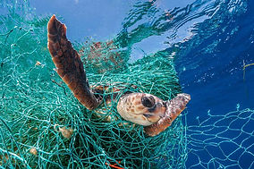 marine pollution gaia first