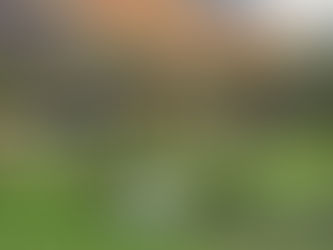 Seasonal Photography: Why Autumn is the Perfect Time to Refresh Your Property’s Imagery