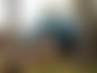 Stargazing and Slow Living at Westcott Woods