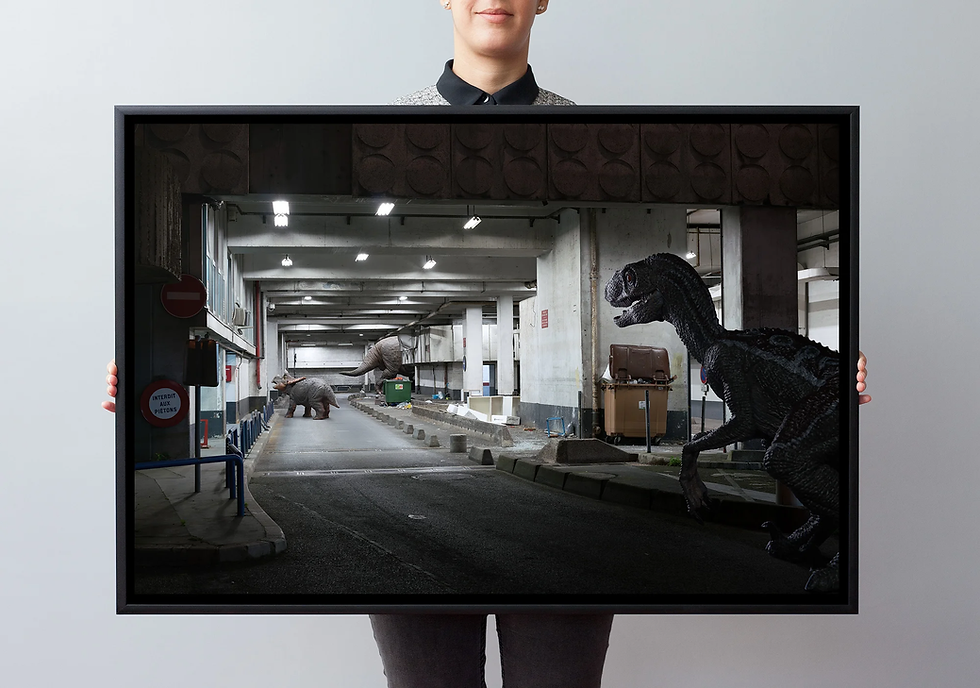 Miniature : THE WILDLIFE #09 (small, large & XL formats - 15 copies)