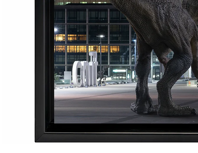 Miniature : THE WILDLIFE #26 (small, large & XL formats - 15 copies)