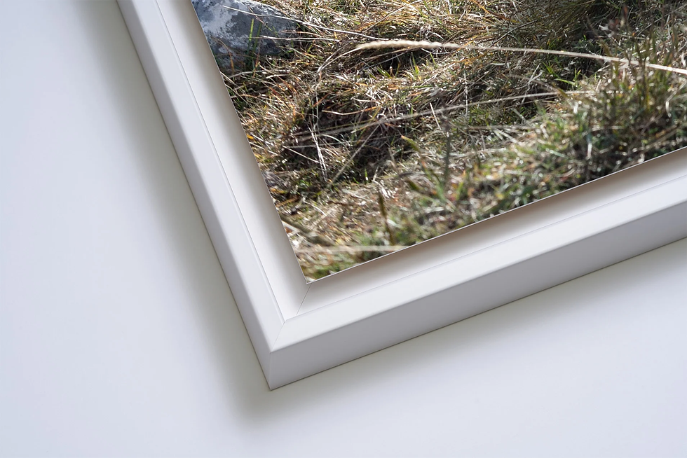 Miniature : THE QUEST FOR THE ABSOLUTE #34 (small, large & XL formats - 30 copies)