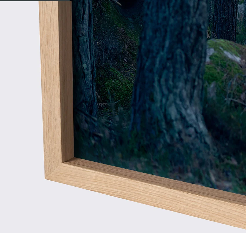 Miniature : VESTIGES #04 (small, large & XL formats - 30 copies)