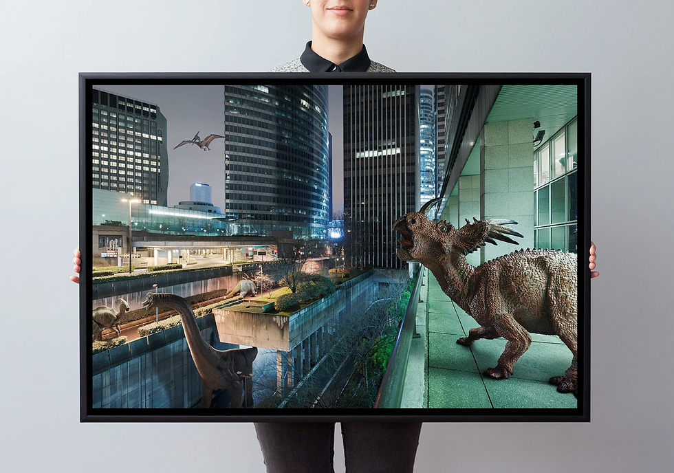 Miniature : THE WILDLIFE #07 (small, large & XL formats - 15 copies)