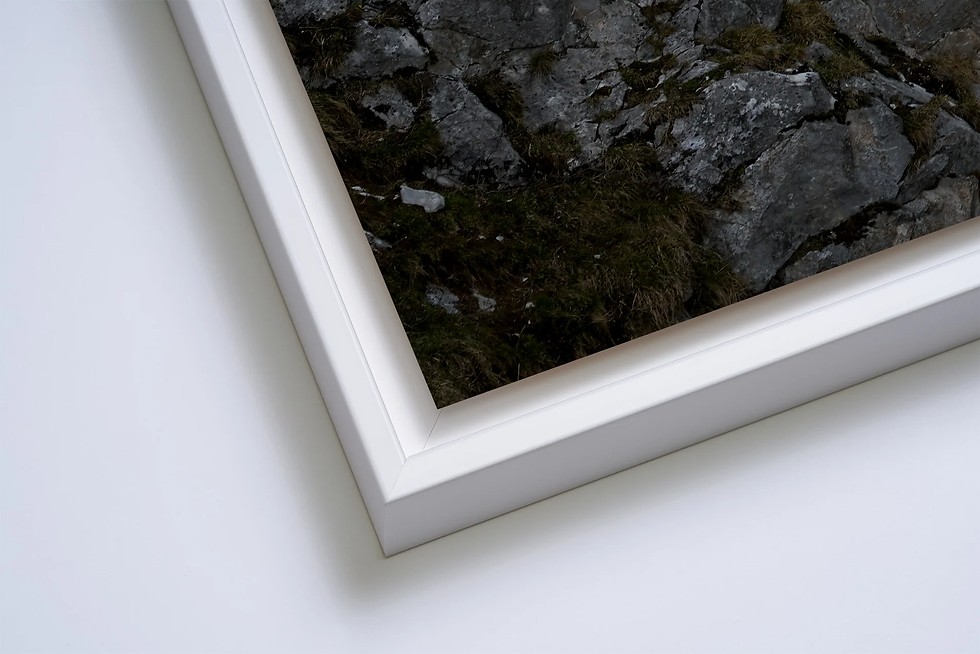 Miniature : THE QUEST FOR THE ABSOLUTE #45 (small, large & XL formats - 30 copies)