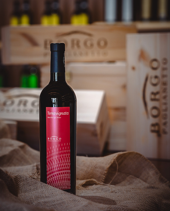 Terravignata Vino Verdicchio Matelica Bio Cantina degustazione Marche Civitanova Macerata Ancona Italia Rosso Bianco
