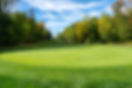 LMI-Peddie-Golf-15.jpg