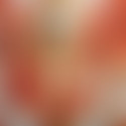 Sindhi Festival, Thadri.