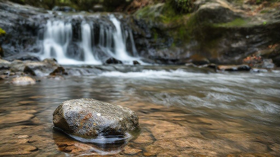 The Mirror Within: Cultivating Emotional Clarity Through Mindfulness