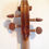 Thumbnail: Guarnari 1743 Cannone  copy Violin