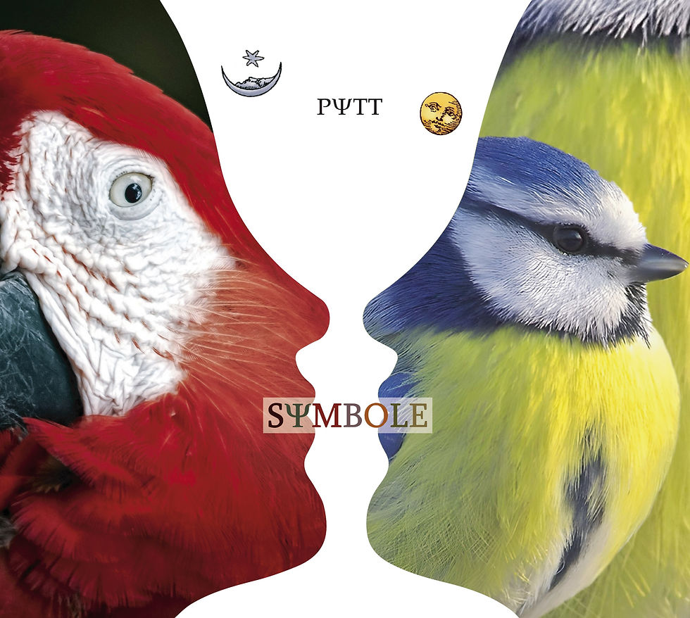 Pytt - SYMBOLE - front