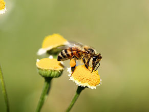 Guest Interview with Jamie Kimball