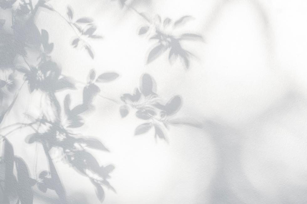 leaves shadow