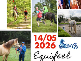 Du 14 au 17 mai : stages et concours multi-discipline