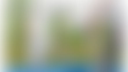 Equifeel et Ride&Run/Bike 17 septembre aux Maffrais