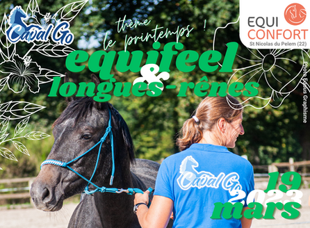2023-03-Equifeel LR Equiconfort (1).png