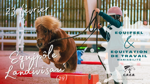 Equifeel & Equitation de travail (maniabilité) à l'Equipôle de Landivisau le 22 et 23 février
