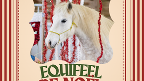 Equifeel de Noël le 7 décembre à Pacé