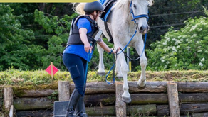 TREC spécial découverte en forêt de Rennes le 15 juin !