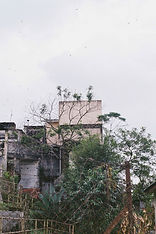 KODAK GB200 (30).jpg