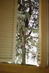 KODAK GB200 (6).jpg