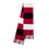 Thumbnail: WD Multi-Striped Beanie Logo Scarf
