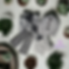 PhotoRoom-20230603_085134.png