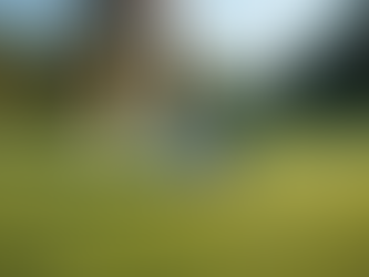 Enhance Your Game with Golf Swing Analysis