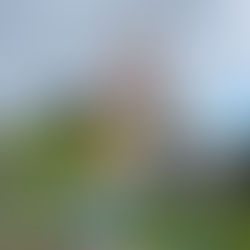 Disneyland Paryż w 2022 - ogarnij ten trip!