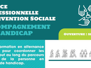 Partenariat avec l'UBS • Licence Pro Intervention sociale : "Accompagnement du handicap"