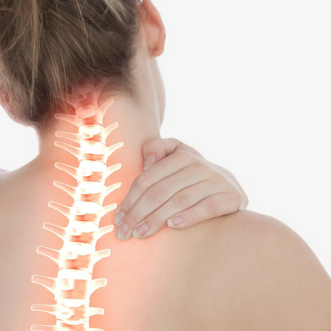 Cornering senior care: American bone health for seniors as important as chiropractic alignment