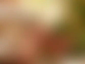 Ambiance douce et chaleureuse avec fleurs de chèvrefeuille et bougie pour illustrer un parfum d’intérieur chèvrefeuille apaisant