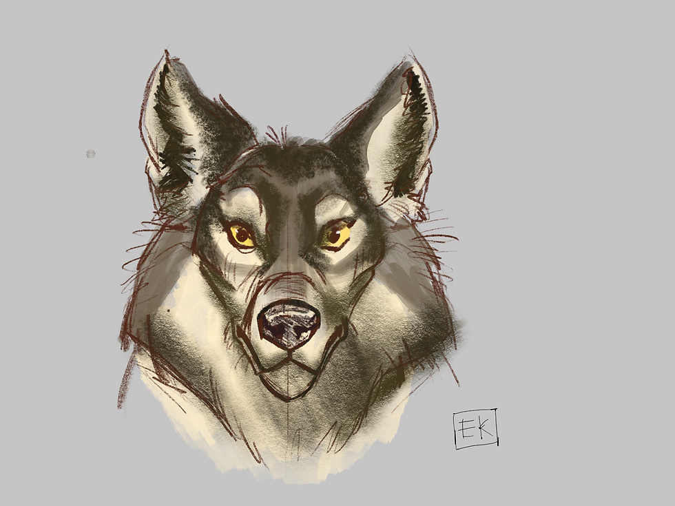 Wolf Head