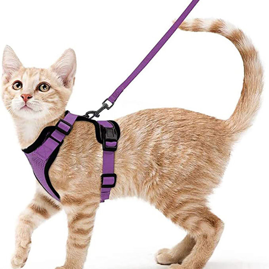 Miniatura: Peitoral e Guia para Gato para Passeio, Colete Macio Ajustável à Prova de Fugas
