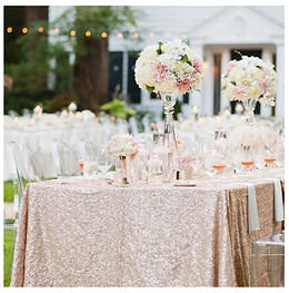 Champagne Sequin Tablecloth
