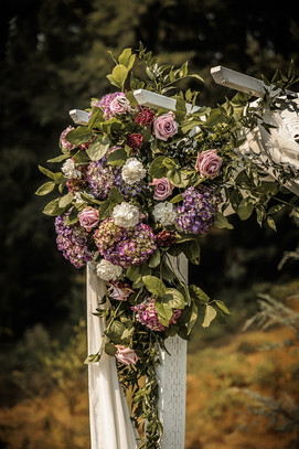 samantha koopmans - arbor close up.jpeg