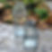 IMG_6804.jpeg