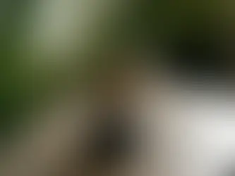 V60 Mı Tercih Etmeliyim Yoksa Chemex Mi?