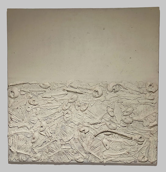 IMG_20250227_080008_Background Removal_e