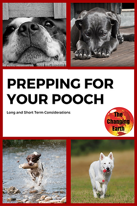 Prepping for Your Pooch