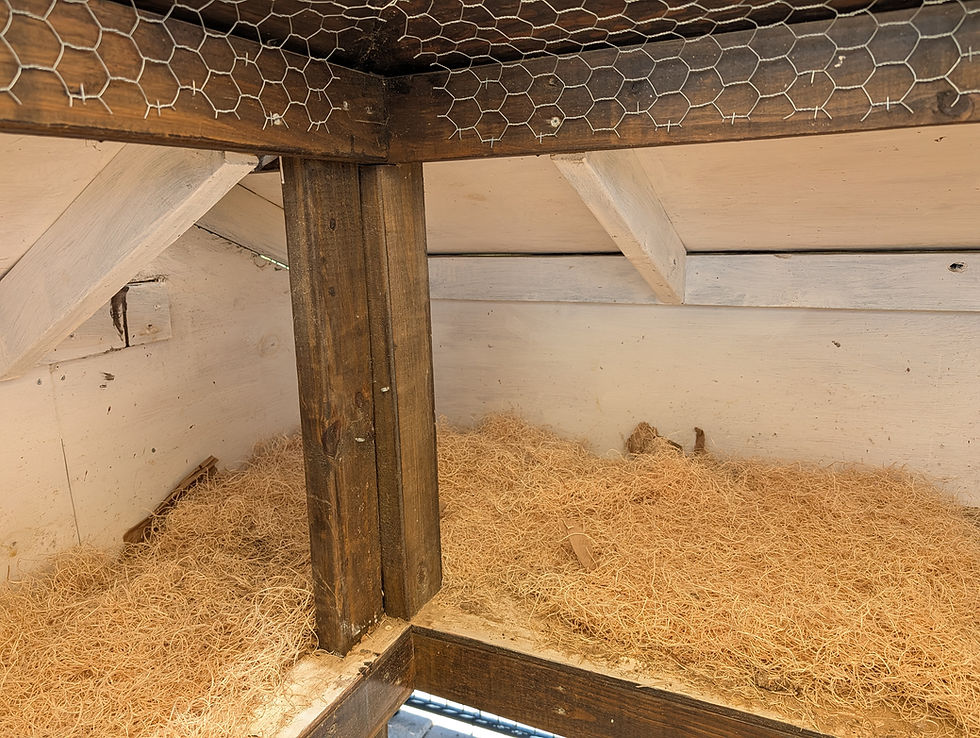 Wooden chicken coop interior with hay bedding, wire mesh ceiling, and wooden beams. Light brown and white tones create a rustic look.