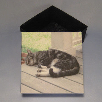 Square - Masu, Cat Nap