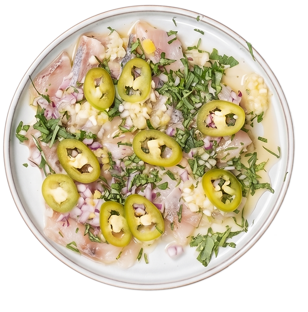 קרפצ'יו הרינג
